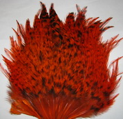 DF  Indian saddle  grizzly orange  XL